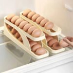 ( 1 পিস) 2 Layer Eggs Storage Rack