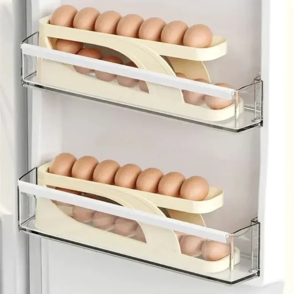 ( 1 পিস) 2 Layer Eggs Storage Rack